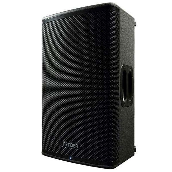 FENDER 6961206000 F-12BT 12